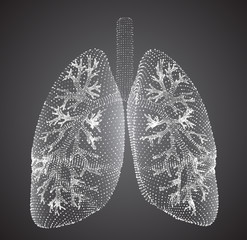 vector lungs and bronchi. vector design. point and dot style