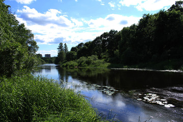 Fototapeta premium river in summer