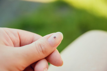 Tick crawling on finger. The concept of danger of tick bite.
