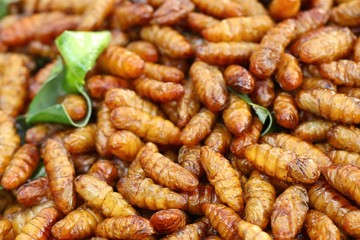 Fried insect at street food