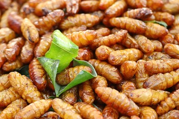 Fried insect at street food