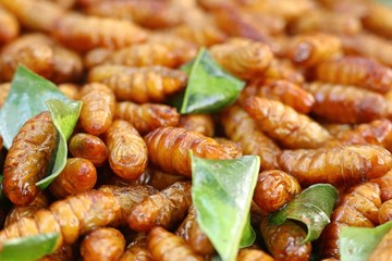 Fried insect at street food
