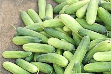 cucumber at street food