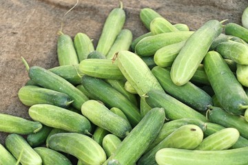 cucumber at street food