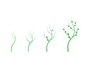 Tree growth diagram. Growth plant vector icon