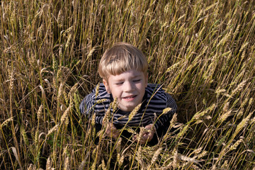 Naklejka na ściany i meble frightened little boy with blond hairs in wheat field in summer