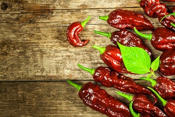 Chili pepper on wooden background.Extra hot chili pepper Naga Bhut Jolokia Chocolate.Raw food. Sale...