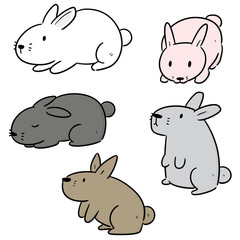 vector set of rabbits