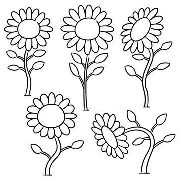 vector set of sunflower