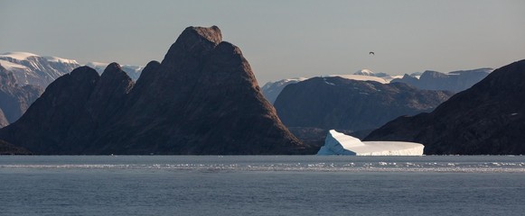  icebergs in  the  fjords of East Greenland in summer