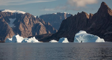  icebergs in  the  fjords of East Greenland in summer