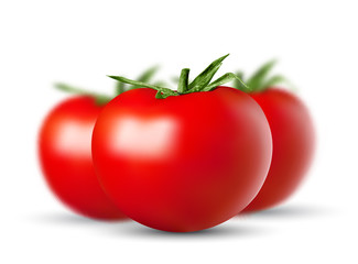 set of vector red ripe tomatoes lies on a white background
