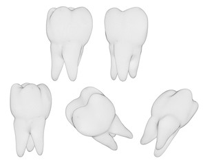 vector set of 3d teeth for dental medicine. isolated on white
