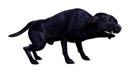 3D Rendering Labrador Dog on White