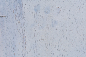 texture. painted old wood surface with cracks