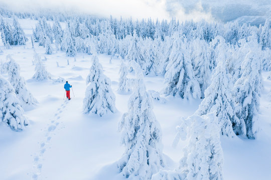 Aerial view of snowshoes walker in snowy forest