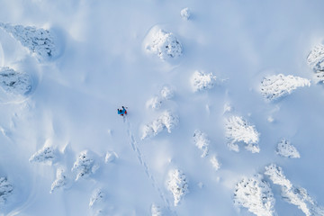 Aerial view of snowshoes walker in snowy forest