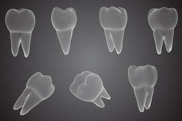 vector set of 3d teeth for dental medicine.