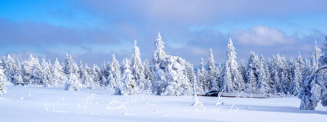 Winterlandschaft im Harz 