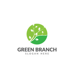 Branch logo or icon vector design template with leaf branches and green circle