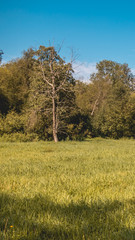 Smartphone HD wallpaper of beautiful view near the Isar mouth - Plattling - Bavaria - Germany