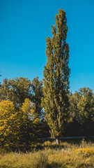 Smartphone HD wallpaper of beautiful view near Plattling - Isar - Bavaria - Germany