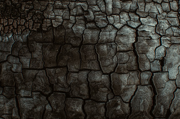 Background, black charred timber, coal after fire, abstract and in cracks of charcoal.