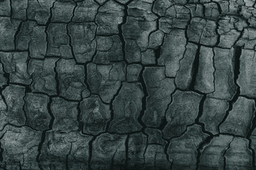 Background, black charred timber, coal after fire, abstract and in cracks of charcoal.