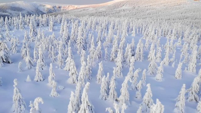 Nature and outdoor cinematic drone footage of winter landscape