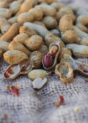 Peanuts on sack surface