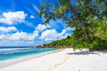 paradise beach on the seychelles, anse cocos, la digue 1