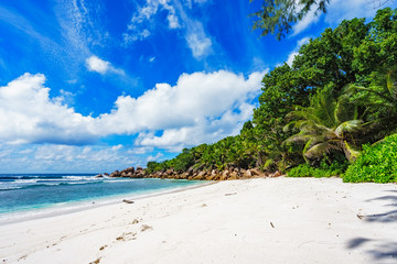 paradise beach on the seychelles, anse cocos, la digue 4