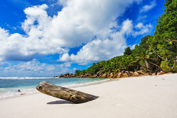 paradise beach on the seychelles, anse cocos, la digue 6