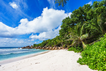 paradise beach on the seychelles, anse cocos, la digue 5