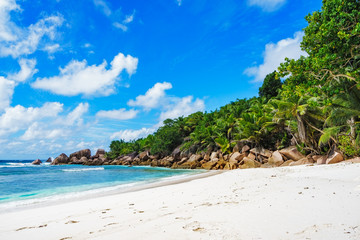 Fototapeta na wymiar paradise beach on the seychelles, anse cocos, la digue 12