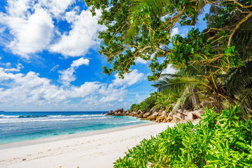 paradise beach on the seychelles, anse cocos, la digue 15
