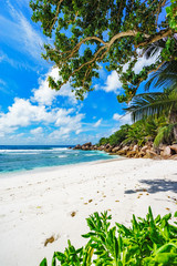paradise beach on the seychelles, anse cocos, la digue 19