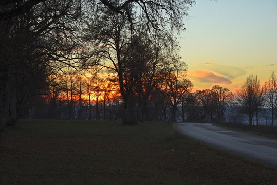 sonnenuntergang, landschaft, natur, farbe, bunt, silhouetten, baum, strauch, straße, asphalt herbst, fall, giengen/brenz, schwäbische alb, abend, deutschland, europa, licht, schatten, wiese, wolke, hi © Gudrun Kiuntke