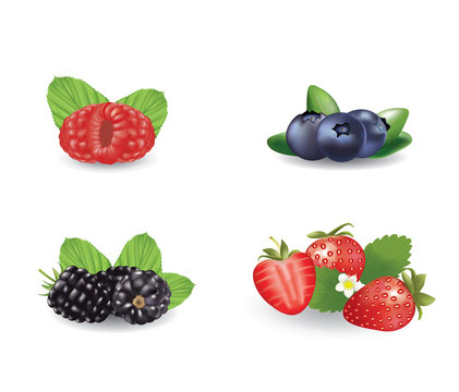 Berries set. vector illustration
