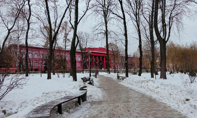 Naklejka premium Alley of the snow-covered Shevchenko Park in Kiev on a winter day