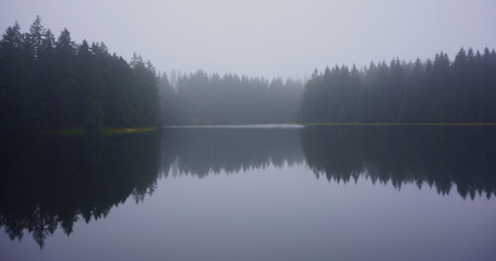 Forest lake in the fog. Tranquility of an old mining pond near Clausthal-Zellerfeld in Lower Saxony, Harz mountains, Germany.