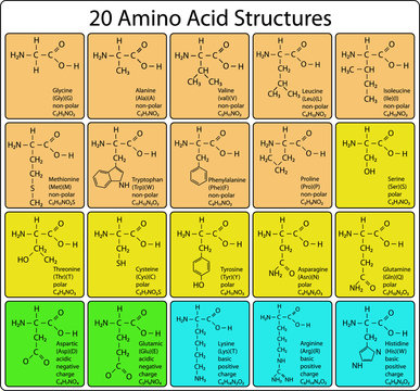 Structure 20 online