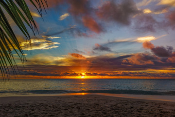 Obraz na płótnie Canvas looking through palm leaf at sunset at anse georgette,praslin,seychelles 12