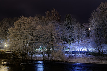 Trees in snow on a river bank at night, Bad Lauterberg, Germany