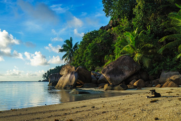 Fototapeta premium dig at a beautiful paradise beach on the seychelles 1