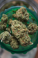 Trimmed Marijuana Buds Up-Close (Mango Kush Strain)