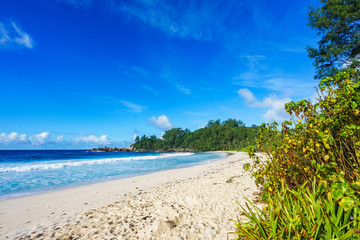 beautiful paradise beach at the police bay, seychelles 2
