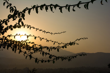 Beautiful sunset sunrise behind trees and hill