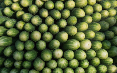 Green fresh cucumbers pattern texture background. Fitness diet detox concept. Green cucumbers harvests Close up. A backdrop of Green fresh cucumbers. Street vegetable market. Group of Green cucumbers.