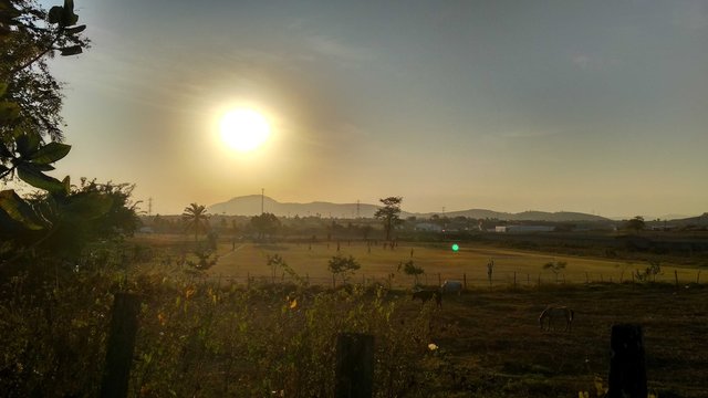 Serra da Barriga, Quilombo dos Palmares